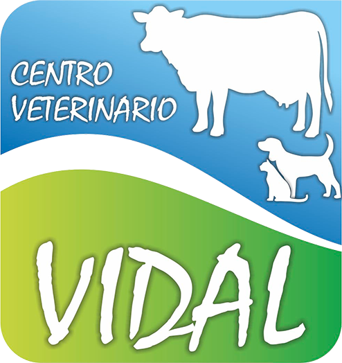 Centro Veterinario Vidal Logo